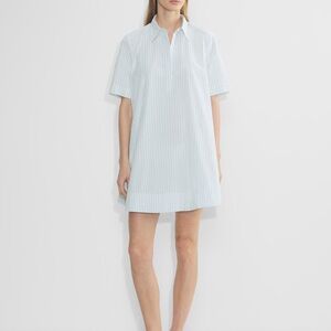 Aritzia Babaton Resolute Poplin Dress
